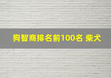 狗智商排名前100名 柴犬